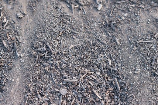 Terre compostée